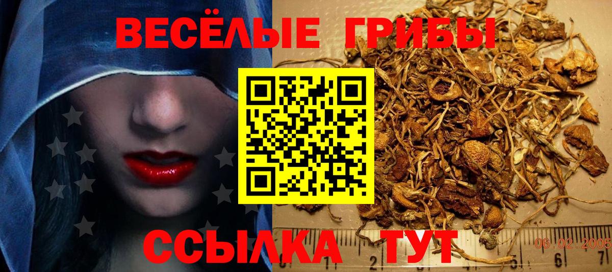Псилоцибиновые грибы мухоморы  Вход с VPN  Нягань  Псилоцибиновые грибы ЛСД 